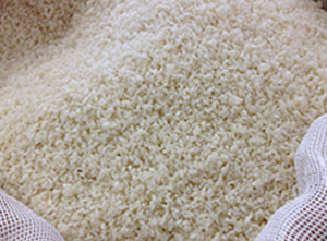 米こうじを作る作業